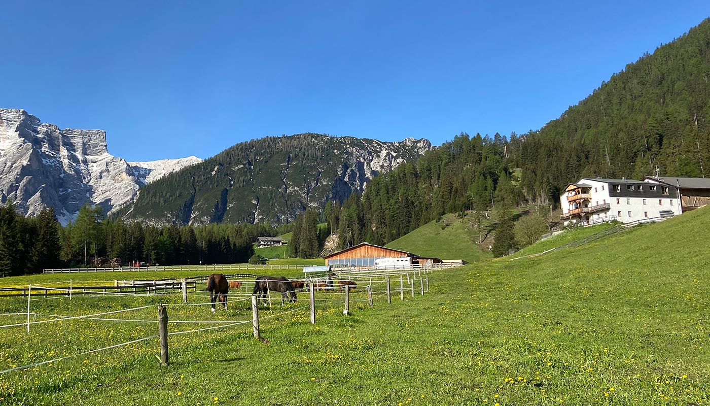 reiterhof-reitunterricht-urlaub-pferd-suedtirol-maneggio-cavallo-vacanza-lezioni-corsi-slider1neu