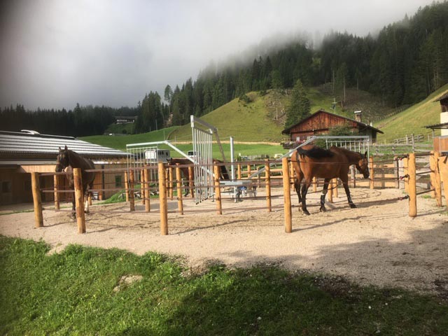 reiterhof-reitunterricht-urlaub-pferd-suedtirol-maneggio-cavallo-vacanza-lezioni-corsi4