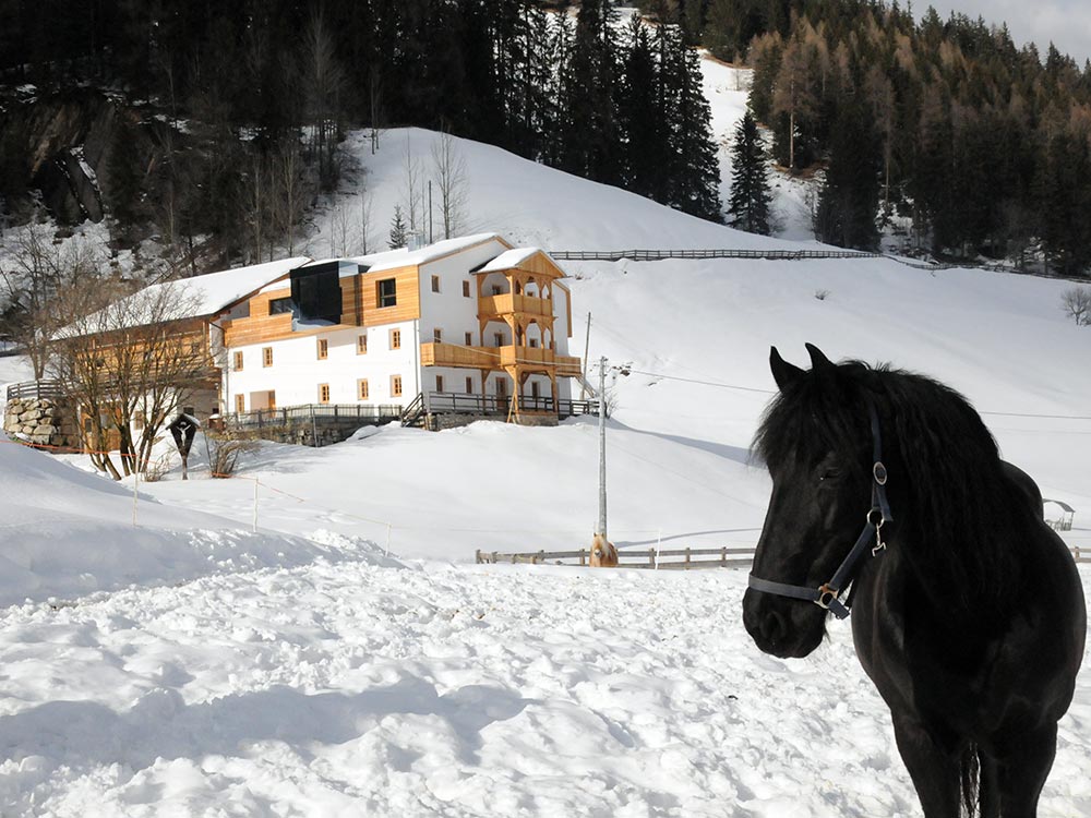 reiterhof-reitunterricht-urlaub-pferd-suedtirol-maneggio-cavallo-vacanza-lezioni-corsi5