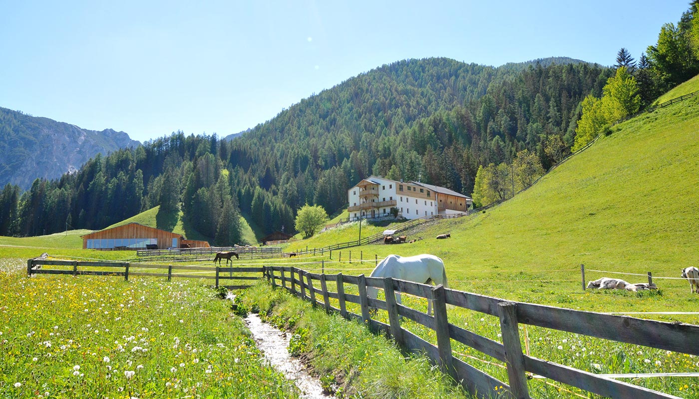 urlaub-zimmer-frühstück-bauernhof-pragser-wildsee-vacanza-maso-lago-di-braies-rooms-breakfast-farm-holidays-lake-sl2