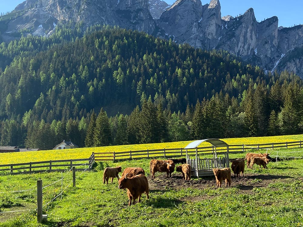 urlaub-zimmer-frühstück-bauernhof-pragser-wildsee-vacanza-maso-lago-di-braies-rooms-breakfast-farm-holidays-lake6